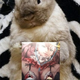 Image for article titled Kotaku 'Shop Contest: Better Than A Bunny Smartphone Case: The Winners!